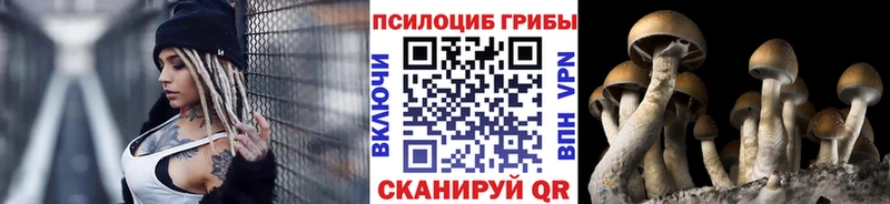 ссылка на мегу сайт  Одинцово  Псилоцибиновые грибы Magic Shrooms 